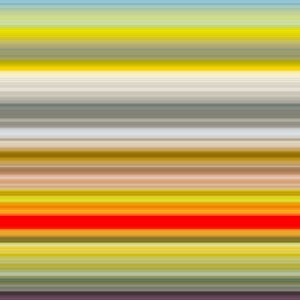 №40,2017,(写真) 作： Alex Caminker