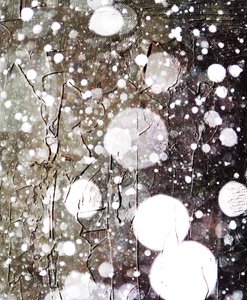 雪,2019,(ミクストメディア) 作： Alex Caminker
