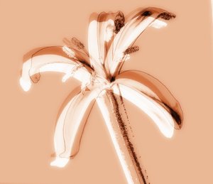 Untitled,2019,(mixed media) 作： Alex Caminker