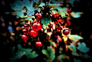 Untitled,2019,(photography) 作： Alex Caminker