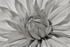 Untitled,2019,(photography) 作： Alex Caminker