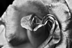 Untitled,2019,(photography) 作： Alex Caminker