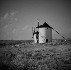Untitled,2019,(photography) 作： Alex Caminker