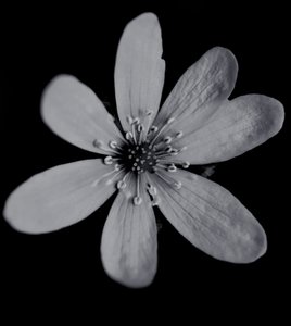 Untitled,2019,(photography) 作： Alex Caminker