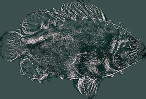 fish in green,2020,(ミクストメディア) 作： Alex Caminker