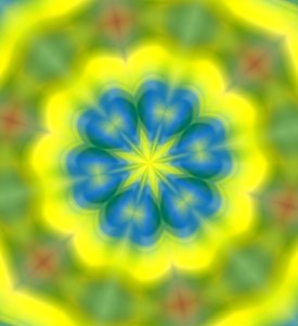 花;62,2019,()グラデーション) 作： Alex Caminker