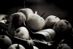 HARVEST,2019,(写真) 作： Alex Caminker