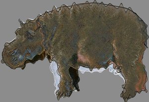カバ、2020、(混合メディア) 作： Alex Caminker