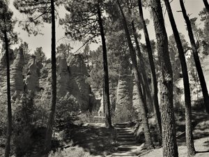 インサイド・ユニバース、2019年、（写真 作： Alex Caminker