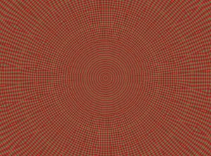オーナメント #2,2019,(ミクストメディア) 作： Alex Caminker
