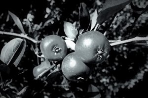 保持、2019年、（写真 作： Alex Caminker