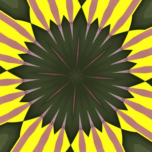 ヒマワリ,2019,(デジタル) 作： Alex Caminker