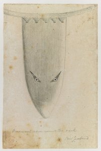 クック船長の最初の航海を描いた、インドのインクで描かれた「ドローイング」からの首の周りの装飾カバー 作： Alexander Buchan
