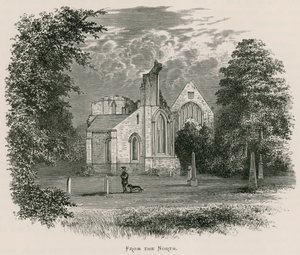 ドライバーグ修道院、北から 作： Alexander Francis Lydon