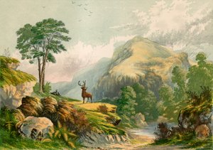 野生の鹿へのウィルソンの演説のイラスト 作： Alexander Francis Lydon