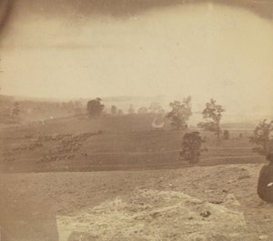 [アンティータムの戦場]、1862 年。 作： Alexander Gardner