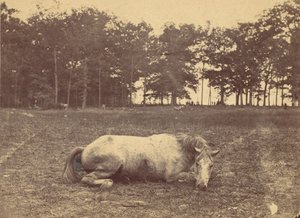 これは死ですか - アンティータムの戦場、1862 年 9 月、1862 年。 作： Alexander Gardner