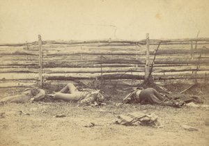 アンティータムの戦いの後、ヘイガーズタウン道路の西側にある野原の眺め、...、1862年。 作： Alexander Gardner