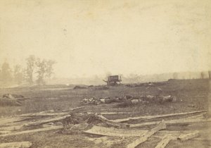 アンティータムの戦場での眺め、1862 年 9 月、1862 年。 作： Alexander Gardner