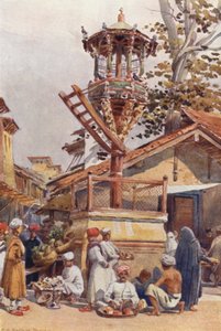 鳥の餌場、アーメダバード 作： Alexander Henry Hallam Murray