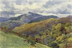 パレケリーの山 作： Alexander Henry Hallam Murray