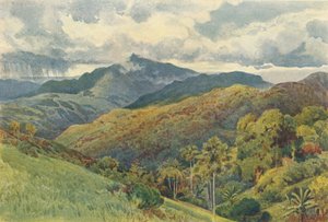 パレケリーの山々、1880年1905年。 作： Alexander Henry Hallam Murray