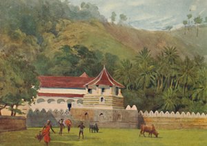 歯の寺院、キャンディ-外観、1880年頃1905年。 作： Alexander Henry Hallam Murray