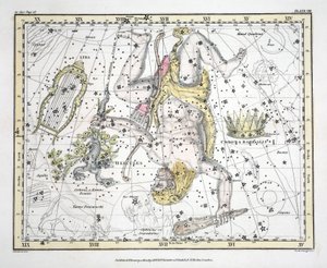星座（プレートVIII）コロノアボレアリス、ヘラクレス、ケルベロス、ライラ、アレクサンダージェイミソンの「天体アトラス」、パブ。ロンドン1822（手描きの彫刻） 作： Alexander Jamieson