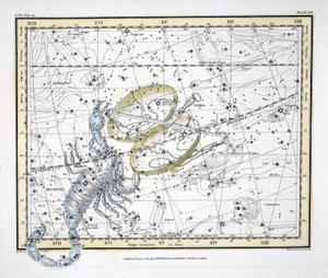 星座（プレートXIX）てんびん座とさそり座。ロンドン1822（手描きの彫刻） 作： Alexander Jamieson