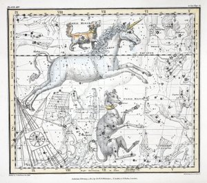 星座（プレートXXV） 大犬座、小犬座、一角獣、アルゴ・ナビス、l