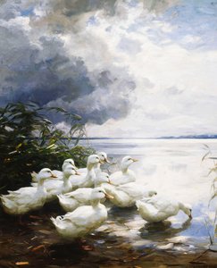 湖のほとりのアヒル 作： Alexander Koester