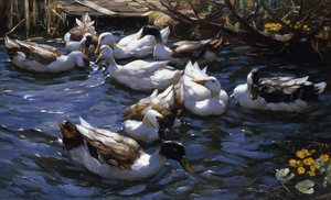 枝の下の葦のアヒル 作： Alexander Koester