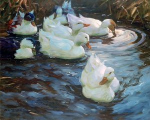 池のアヒル、c1884-1932 作： Alexander Koester