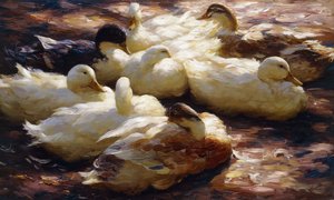 川岸のアヒル 作： Alexander Koester