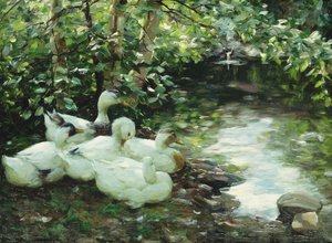 ストーニーショアの川沿いにある5羽のアヒル。 Funf Enten am Bach、Steiniges Ufer 作： Alexander Koester