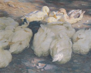 夕日に 作： Alexander Koester