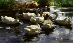 A. Koester、池のカモ 作： Alexander Köster