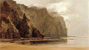 ミナウムクリフ、アキル島、コノート郡、アイルランド（キャンバスに油彩） 作： Alexander Williams