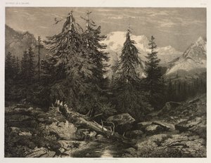 アルパイン ストリーム 作： Alexandre Calame