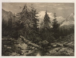 アルパインストリーム。 作： Alexandre Calame