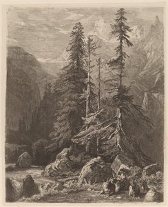 Alexandre Calameによるエッチングの試み、I、pl。 21 作： Alexandre Calame