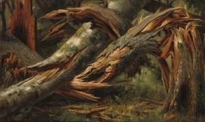 倒木 作： Alexandre Calame