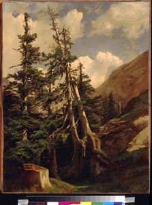 Calame, Alexandre (1810-1864)の「山の中のモミ」。キャンバスに油彩、サイズ：68,5x53。モスクワ、国立A.プーシキン美術館 作： Alexandre Calame