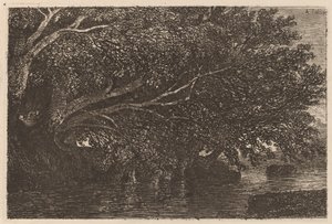 池に張り出した木々 作： Alexandre Calame