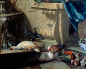アヒル、キジ、泉のそばの果物 詳細 フランソワ・デスポータス（1661-1743）の絵画 18世紀 リヨン、ボザール美術館 作： Alexandre Francois Desportes