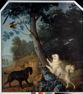 ルイ14世（1638-1715）の愛犬、メルルジーヌとココック。フランソワ・デスポータス（1661-1743）による絵画