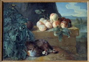 桃とオウムの絵フランソワ・デスポータス（1661-1743）の絵 作： Alexandre Francois Desportes