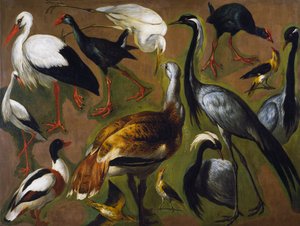 アレクサンドル・フランソワ・デスポータス（1661-1743）による「鳥の研究」（フランス 作： Alexandre Francois Desportes