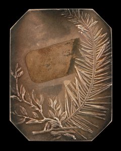 月桂樹と常緑樹の絡み合った枝[逆]、1897年。