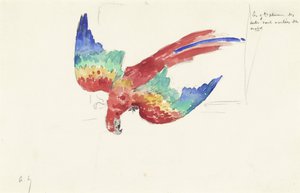 見下ろすオウム 作： Alexandre Lunois